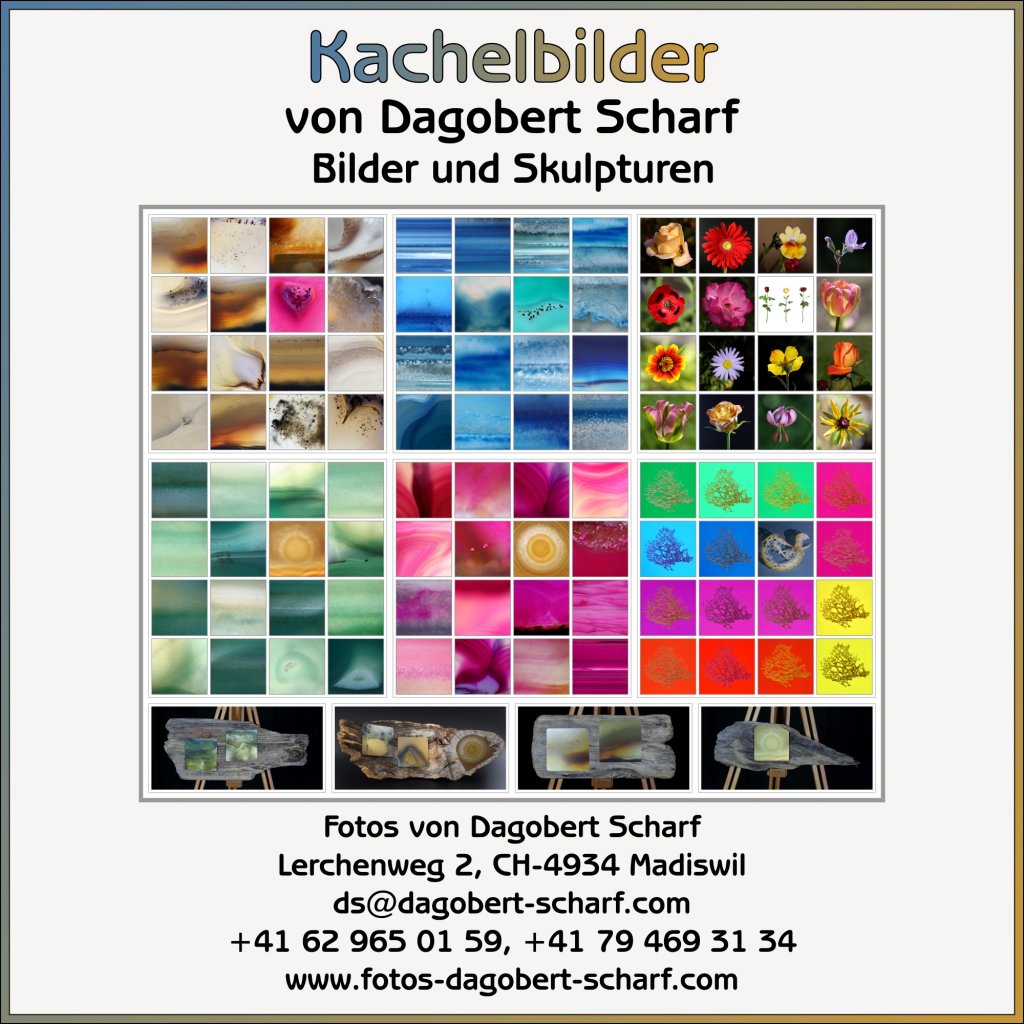 image-11425751-Katalog-Kachelbilder-45c48.w640.jpg