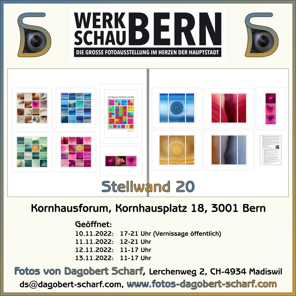 image-11982785-Werkschau-Bern-2022-aab32.w640.jpg